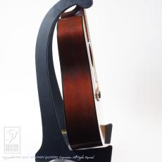 Martin D12-20 (12 Strings)_5