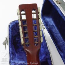 Martin D12-20 (12 Strings)_7