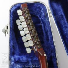 Martin D12-20 (12 Strings)_8