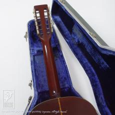 Martin D12-20 (12 Strings)_10