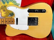 Fender TELECASTER BLD/M_2