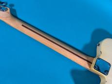 Fender TELECASTER BLD/M_8