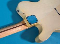 Fender TELECASTER BLD/M_9