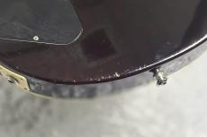 Gibson Slash Les Paul Standard / November Burst [4.39kg][2022年製]_11