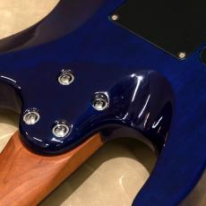 Charvel Pro-Mod Plus DK24 HH 2PT EB QM,Chlorine Burst_9