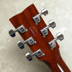 HISTORY NT-S4/2024_10