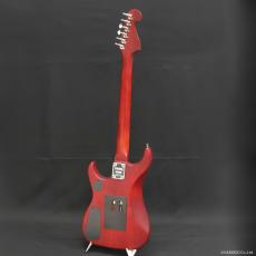 Washburn N2-NUNO PADAUK_3