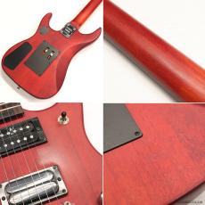 Washburn N2-NUNO PADAUK_8
