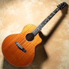 NATASHA Vitalis w/ L.R.Baggs Element VTC