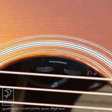 Eastman E1-OM-DLX-GB_13