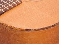 Epiphone FT-30 Caballero '67_10