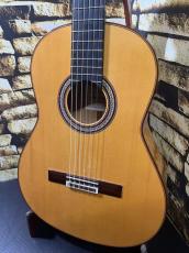 Juan Hernandez [ホアン・エルナンデス] ARCANGEL アルカンヘルモデル 松・シープレス【日本総本店2F 在庫品】_2