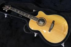 Paul Reed Smith [PRS] SEAngelus Custom