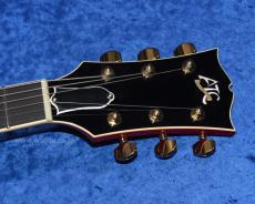 Archtop Tribute ATC350BK-BF _5