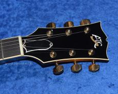 Archtop Tribute ATC350BK_5