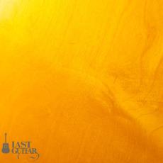 Gibson ES-175D 1970’s_10