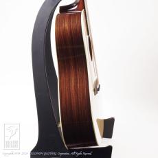 Collings D-2H_5