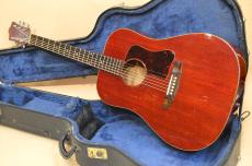 Guild(ギルド)、アコースティックギター/エレアコの検索結果1～50件