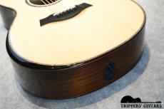 Taylor 912ce (2022)_13