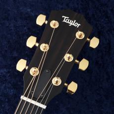 Taylor 【選定品】224ce-K DLX 【現物動画あり】【美しい杢目】【48回無金利】【細目ネック】_3