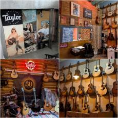 Taylor 【選定品】224ce-K DLX 【現物動画あり】【美しい杢目】【48回無金利】【細目ネック】_11