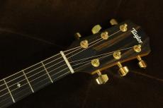 Taylor 222ce-K DLX_5