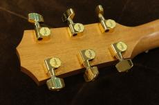 Taylor 222ce-K DLX_6