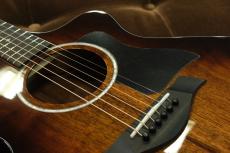 Taylor 222ce-K DLX_8