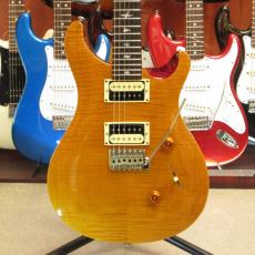 Paul Reed Smith [PRS] SE Custom 24