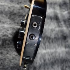 Paul Reed Smith [PRS] McCarty Hollowbody I Piezo_10