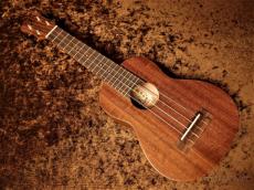 aNueNue Hawaiian Dream Series Mahogany Ⅰ (aNN-U1) 【U Series】【ソプラノ/マホガニー】【送料込】_2