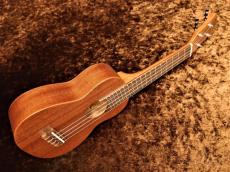 aNueNue Hawaiian Dream Series Mahogany Ⅰ (aNN-U1) 【U Series】【ソプラノ/マホガニー】【送料込】_3