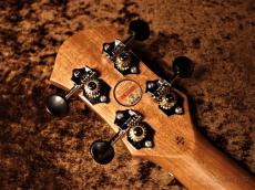 aNueNue Hawaiian Dream Series Mahogany Ⅰ (aNN-U1) 【U Series】【ソプラノ/マホガニー】【送料込】_9