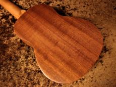 aNueNue Hawaiian Dream Series Mahogany Ⅰ (aNN-U1) 【U Series】【ソプラノ/マホガニー】【送料込】_11