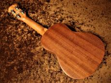 aNueNue Hawaiian Dream Series Mahogany Ⅰ (aNN-U1) 【U Series】【ソプラノ/マホガニー】【送料込】_12