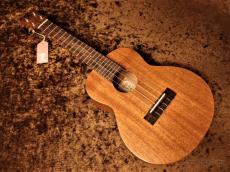 aNueNue Hawaiian Dream Series Mahogany II (aNN-U2) 【U Series】【コンサート/マホガニー】【送料込】_2