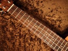 aNueNue Hawaiian Dream Series Mahogany II (aNN-U2) 【U Series】【コンサート/マホガニー】【送料込】_7