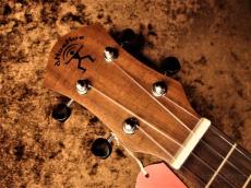 aNueNue Hawaiian Dream Series Mahogany II (aNN-U2) 【U Series】【コンサート/マホガニー】【送料込】_8