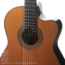 Nishino Shunpei [西野春平] NR-3 杉 CW (640mm)_11