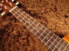 ILIKAI IL-SOP-4KGG 【ソプラノ/ハワイアンコア】【単板モデル】【12回金利0%対象】【送料込】_7