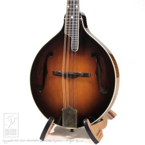 Gibson A-5L
