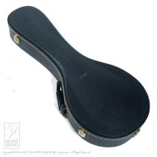 Gibson A-5L_9