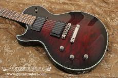 SCHECTER 2014 Hellraiser Solo-Ⅱ Lefty_10