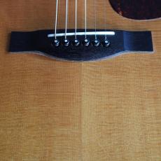 Santa Cruz Model D/E 1999年製_13