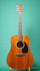Martin D-25K2_2