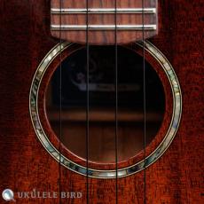 Singer RS1M_4