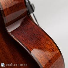 Singer RS1M_11