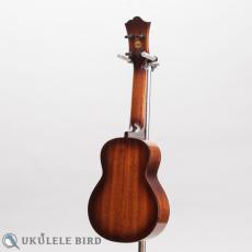 Singer RS1M_12