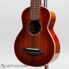 Singer RS1K_2