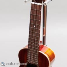 Singer RS1K_5